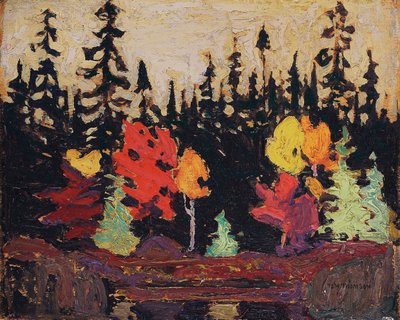 Schwarzfichte und Ahorn von Tom Thomson